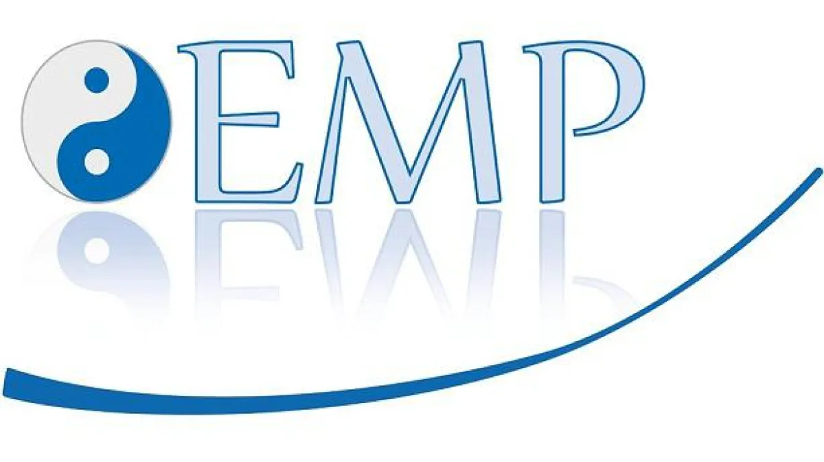 EMP energetische Matrix Prozesse
