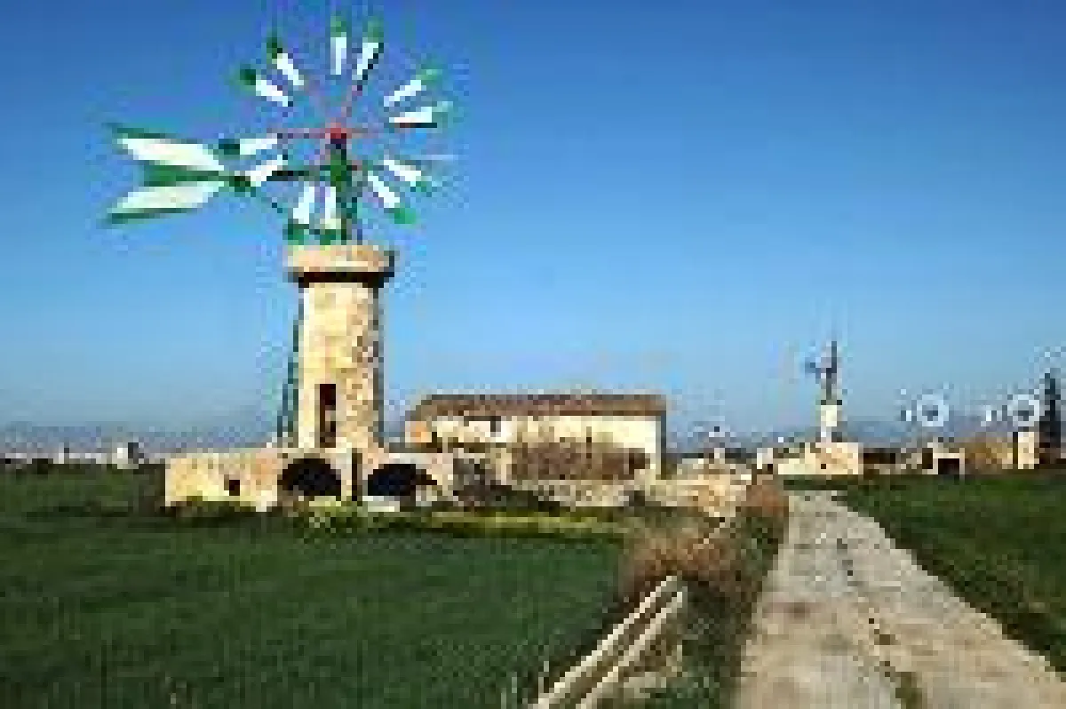 Life Balance Coaching auf Mallorca