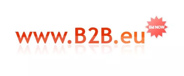 Bild: B2B - Branche weiterhin sehr erfolgreich - B2B.eu wird verkauft