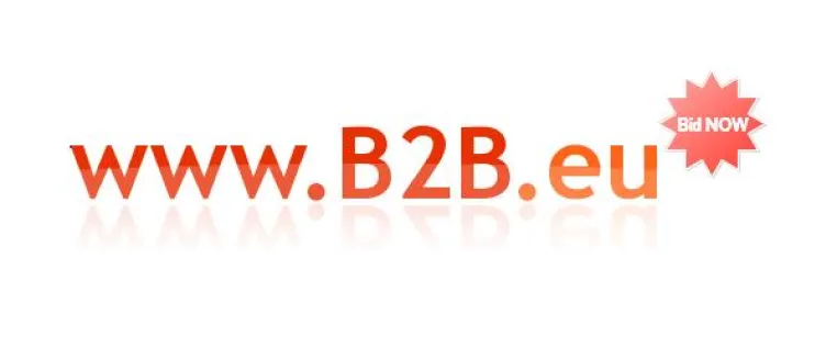 Bild: B2B - Branche weiterhin sehr erfolgreich - B2B.eu wird verkauft