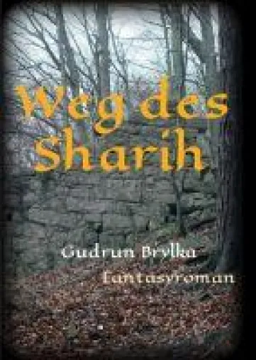 Bild: Gudrun Brylka: Weg des Sharih - Rückkehr nach Velusian