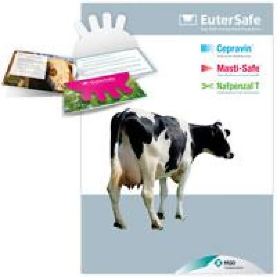 EuterSafe Fachanzeige und Broschürenbeispie