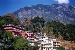 Tibeter in Ngaba begehen Losar mit Gebeten für die Verstorbenen Bild: Tibeter in Ngaba begehen Losar mit Gebeten für die Verstorbenen
