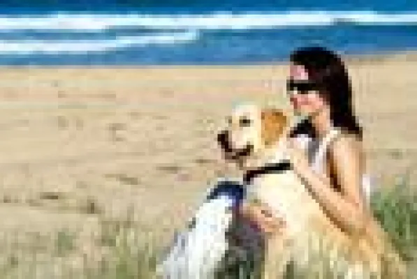 Bild: Welpe „ante portas” - Wenn ein junger Hund bei seiner neuen Familie einzieht