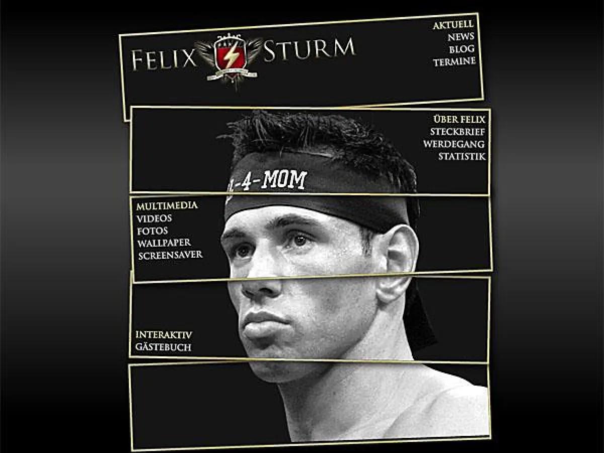 Die offizielle Homepage von Felix Sturm