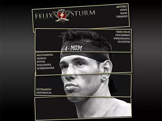 Bild: Felix Sturm verteidigt WM-Titel gegen Jamie Pittman