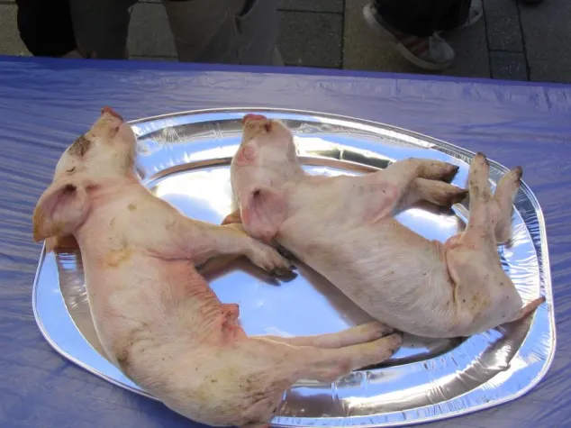 Bild: Schweineleichen in der Fußgängerzone