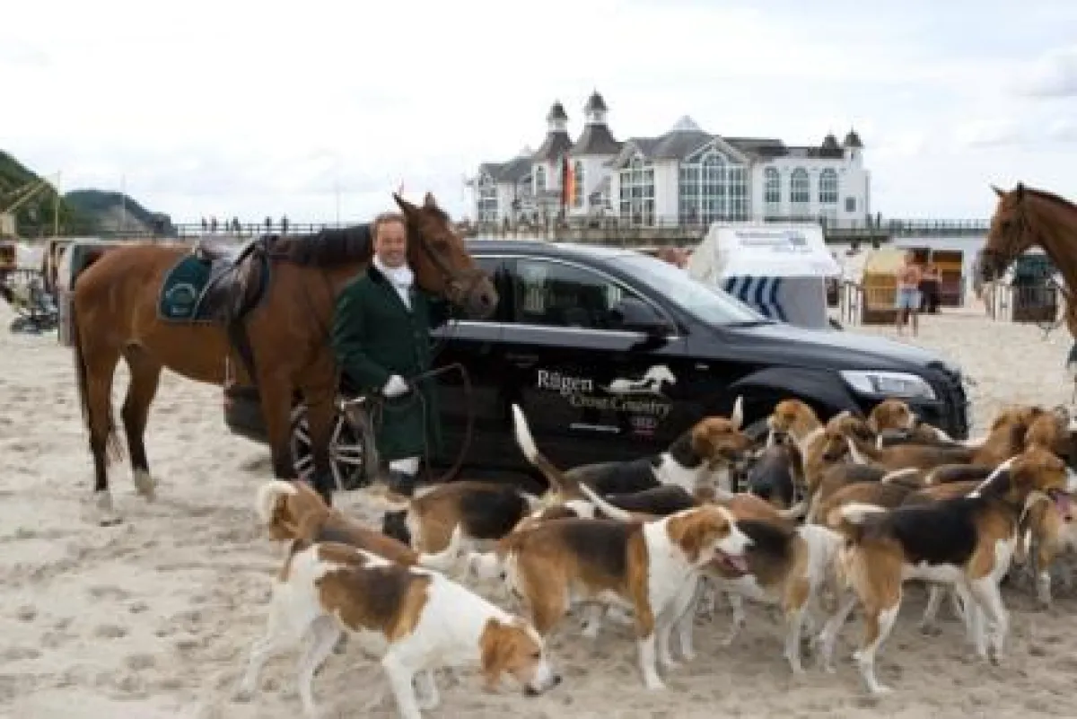 Mediart Entertainment