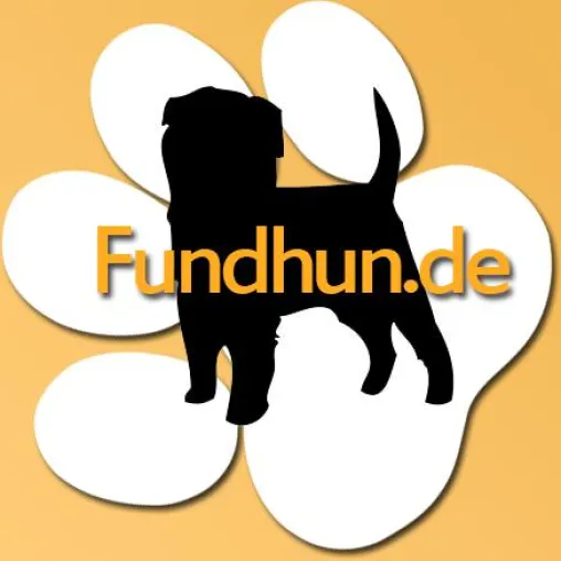 Bild: Finden Sie Ihren vermissten Hund