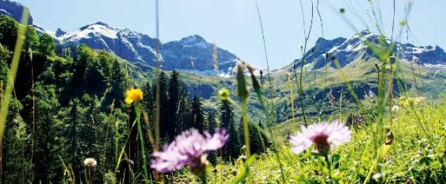 Bild: Wandern im Naturpark Nagelfluhkette