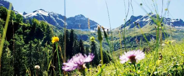 Wandern im Naturpark Nagelfluhkette Bild: Wandern im Naturpark Nagelfluhkette