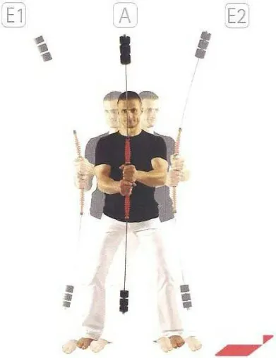 Trainingsstab Propriomed Bild: Trainingsstab Propriomed