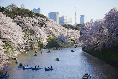 Bild: Konnichiwa, Tokyo!