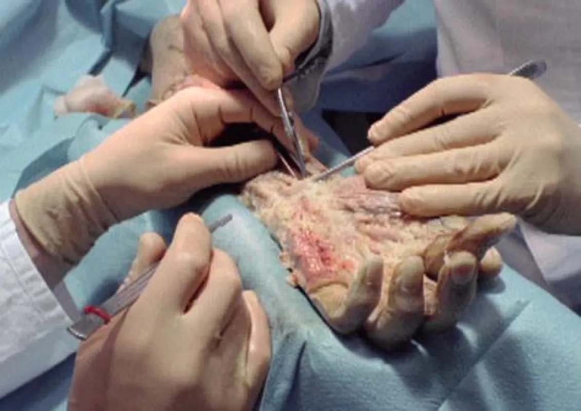 @2015 felderfilm - Sektion Hand