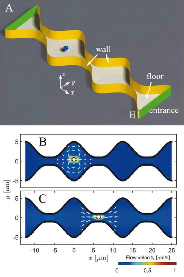 Sketch of the experimental setup for a passive particle diffusing in a corrugated channel. (© Universität Augsburg (IfP)/PNAS)