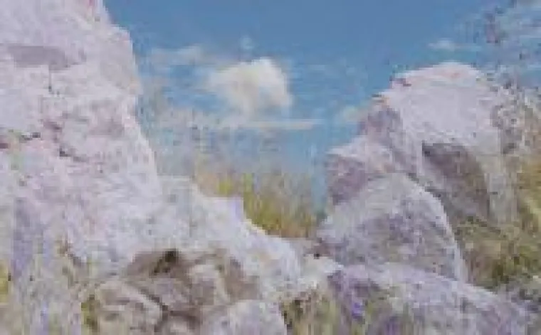 Bild: Desert Lion Energy: Das ist der Durchbruch!