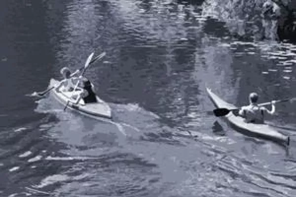 Bild: Incentives – die Gießkanne beiseitelegen