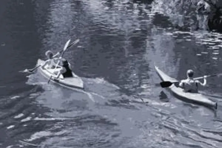 Bild: Incentives – die Gießkanne beiseitelegen