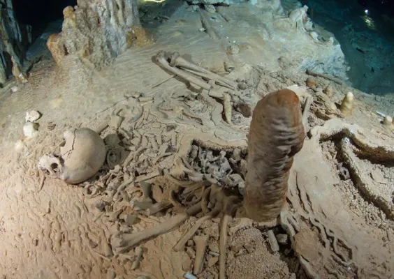 Bild: Find of Human Bones in South Mexico: Stalagmite Reveals Their Age as 13,000