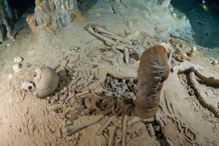 Find of Human Bones in South Mexico: Stalagmite Reveals Their Age as 13,000 Bild: Find of Human Bones in South Mexico: Stalagmite Reveals Their Age as 13,000