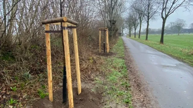Bild: HanseWerk: Aufforstung nach Fällaktion an Gas-Hochdruckleitung - SH Netz pflanzt fast 200 heimische Laubbäume