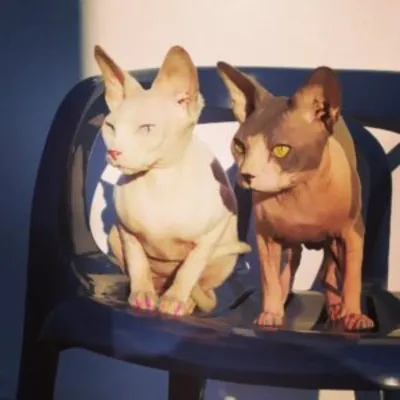 Bild: Gemeinsam stark: Wie Versorgungspakete Tierheime entlasten