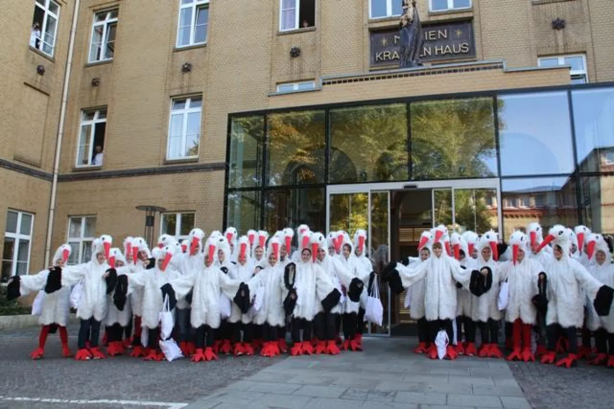 50 Storche feierten von dem Marienkrankenhaus die Einweihung der neuen Geburtshilfe