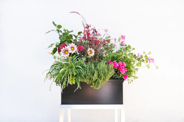 Bild: Bereit für ein Blütenmeer oder ein Kräuterparadies auf dem Balkon oder der Terrasse?