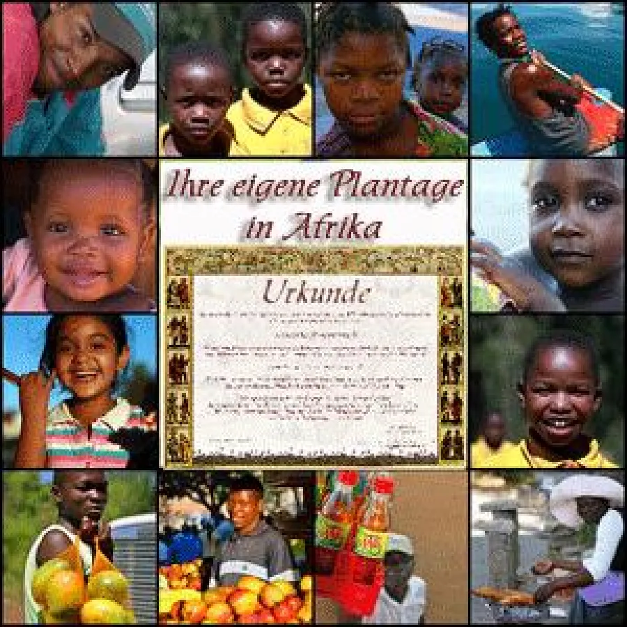 Eigene Kaffeeplantage als Geschenkidee. Der Kunde erhält lebenslang Kaffee von seiner eigenen Plantage