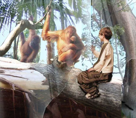 Bild: FLORIDA: In Busch Gardens Tampa Bay entsteht ein neues Dschungel-Abenteuer