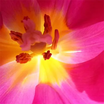 Bild: Grundlagen der Digitalfotografie - Einzeltraining in Frankfurt mit Meike Fischer