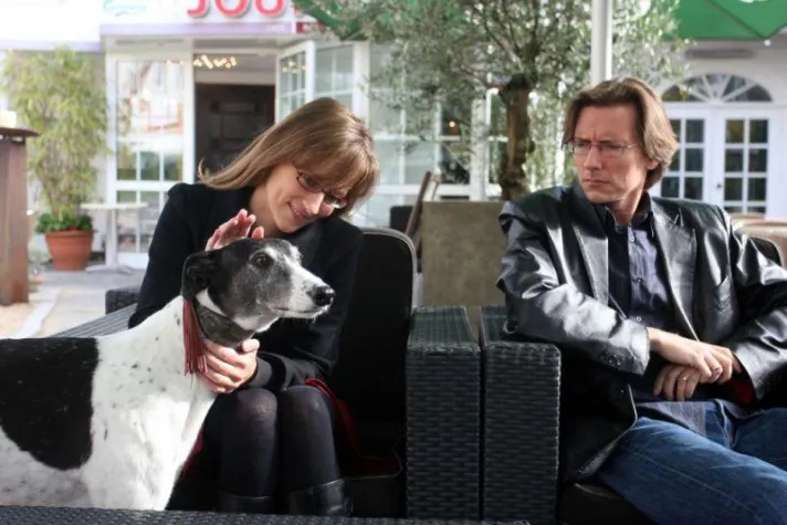 Bild: Fressnapf-Studie: Wenn Vierbeiner eifersüchtig machen...