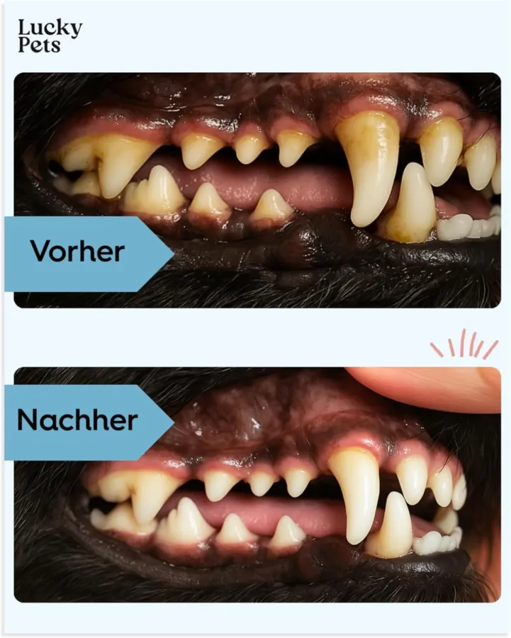 Lucky Pets Zahnpflege für Hunde (© Lucky Pets)