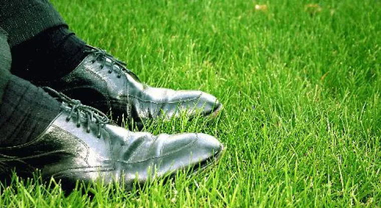 Bild: Ein Damm gegen multimediale Sinnenflut