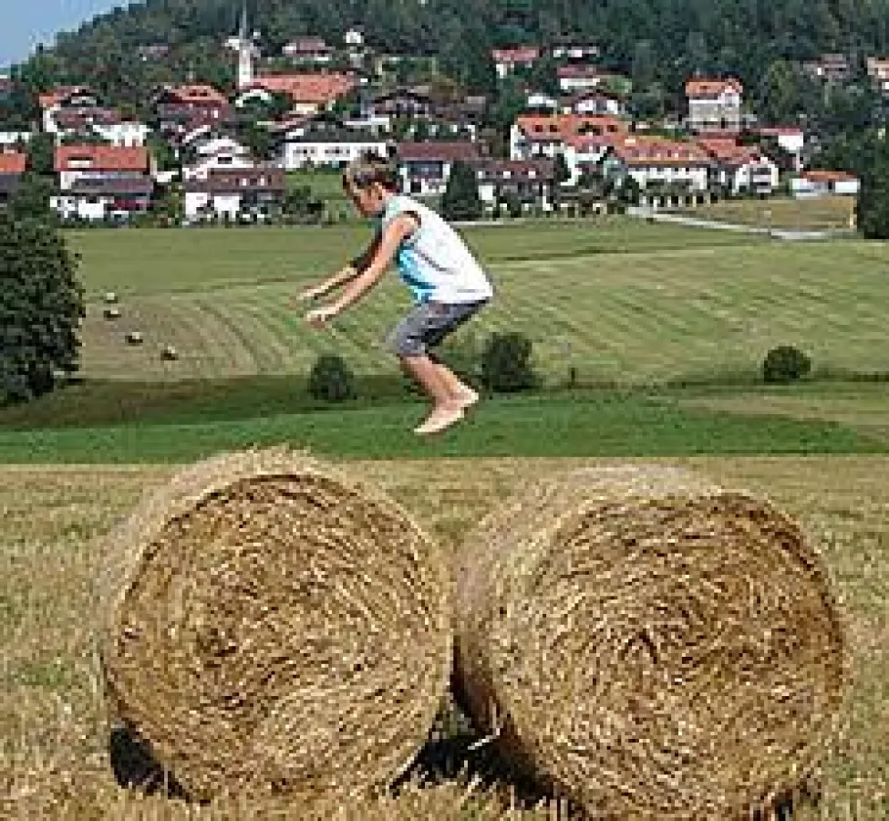 Herbst im Bayerischen Wald
