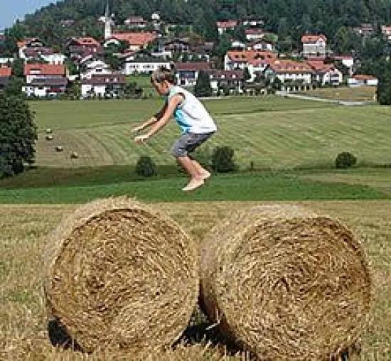 Bild: Herbsturlaub bereits jetzt planen