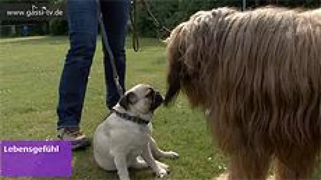 Bild: Wochenüberblick