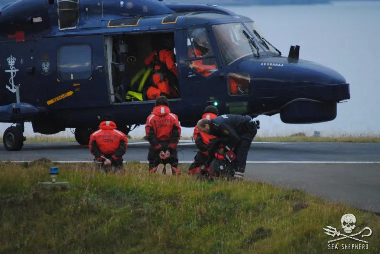 Sea Shepherd-Crewmitglieder für Eingriff bei der brutalen färöischen Grindwaljagd verhaftet Bild: Sea Shepherd-Crewmitglieder für Eingriff bei der brutalen färöischen Grindwaljagd verhaftet