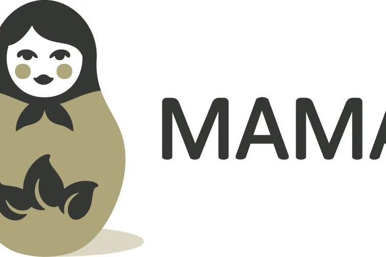 Paulus Neef stellt MAMA Sustainable Incubation AG vor. Bild: Paulus Neef stellt MAMA Sustainable Incubation AG vor.