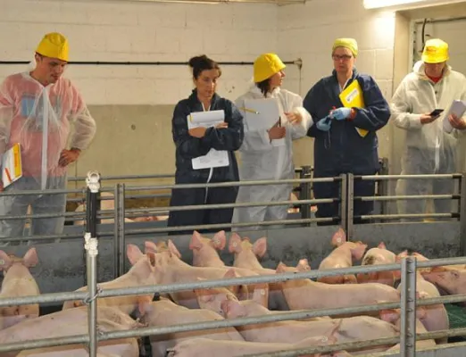 Bild: Praktische AVA- Fortbildungen für Tierärzte minimieren den Tierarzneimitteleinsatz