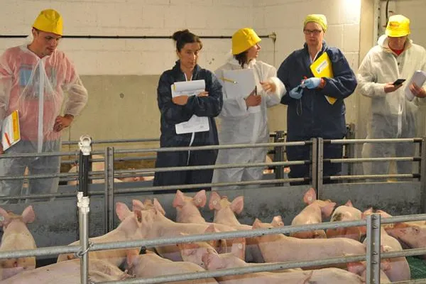 Bild: Praktische AVA- Fortbildungen für Tierärzte minimieren den Tierarzneimitteleinsatz