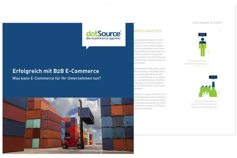 Bild: dotSource veröffentlicht B2B-Whitepaper