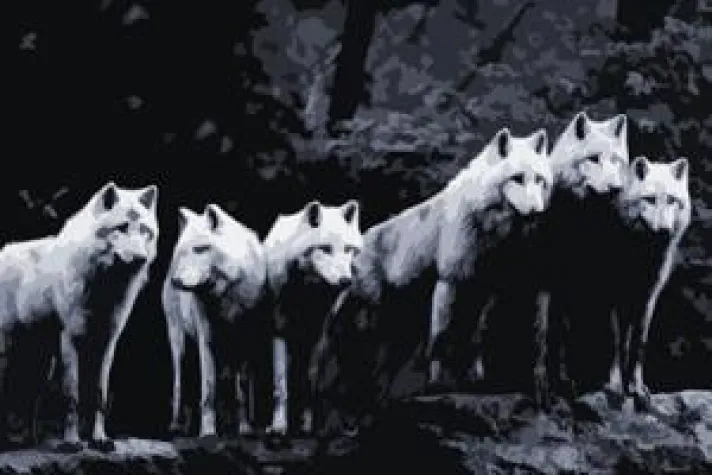 Bild: Ressourcenorientiertes Training mit Rainer Herlt