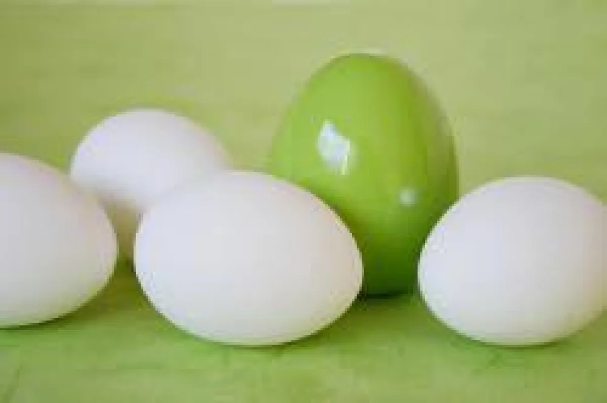 Wenn ein Ei wie das andere aussieht, ist Phantasie gefragt!