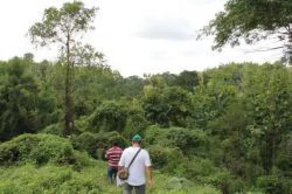 Bild: Life Forestry klärt Irrtümer auf