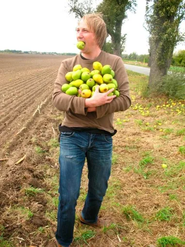 Bild: Freies Obst für freie Bürger