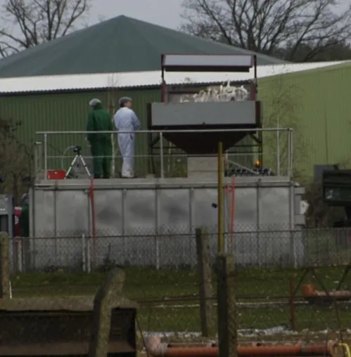 Bild: Keine Frage des Tierschutzes: Impfen statt Keulen?