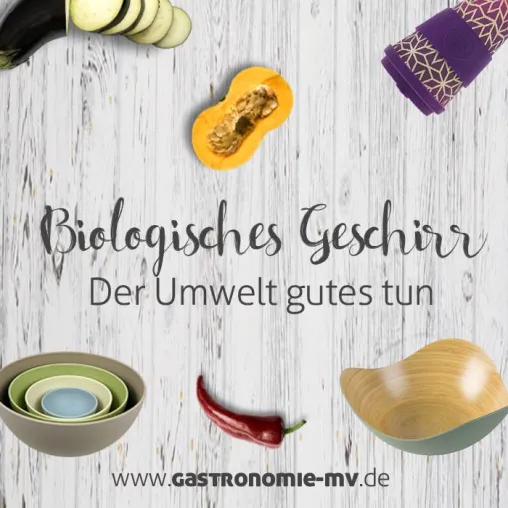 Bild: Biologisch abbaubares Geschirr - Künstlerische Designs, liebevolle Motive und eine große Auswahl