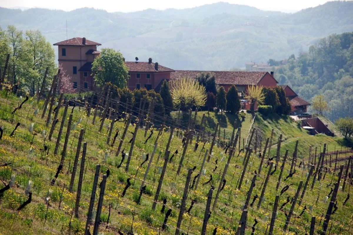 La Notte Bianca in Collina: La Tenuta La Tenaglia im Monferrato ist der ideale Ort, um Kunst, Kultur und Wein zu einer Einheit verschmelzen zu lassen.