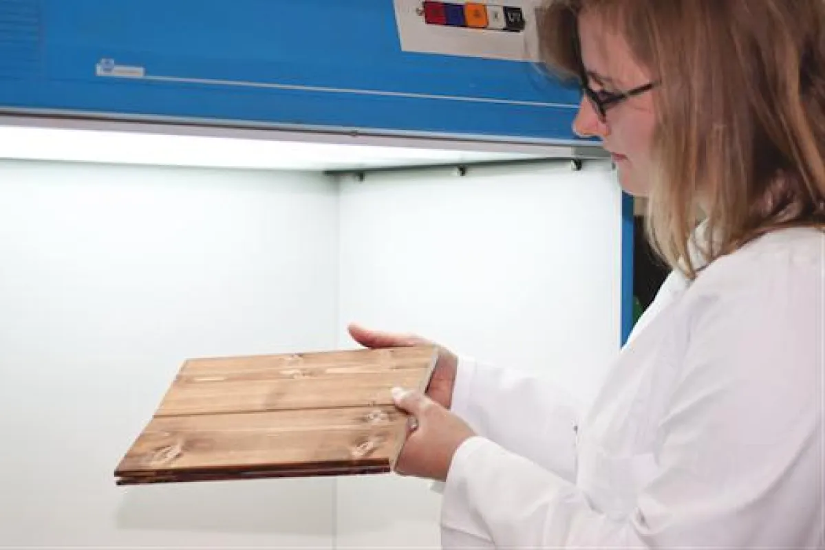 Qualifizierte Beratung von MOCOPINUS für die Veredelung von Holz-Oberflächen